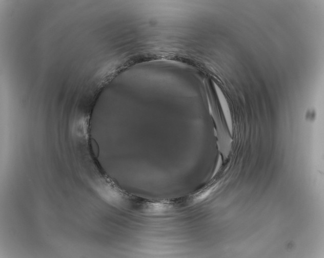 X0000090760286200708101754