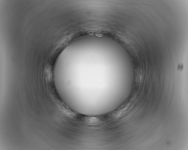 X0000090760287200708101754