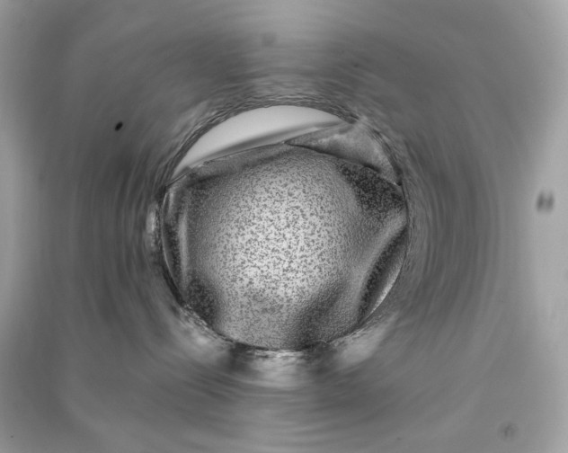 X0000090760288200708101754