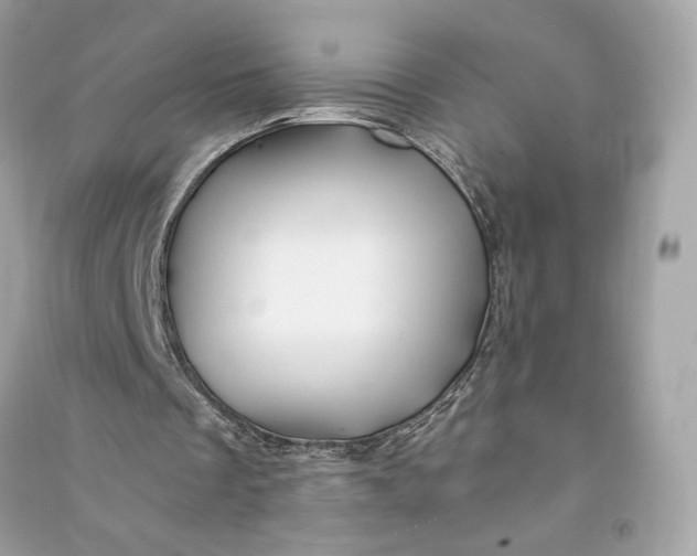 X0000090760289200708101754