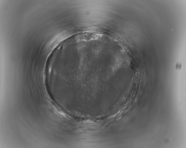 X0000090760290200708101754