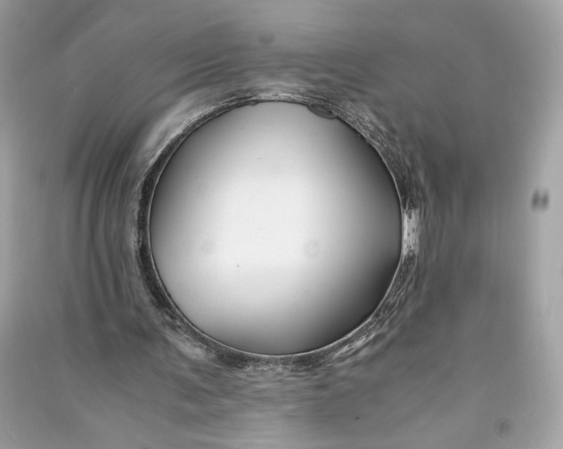 X0000090760291200708101754