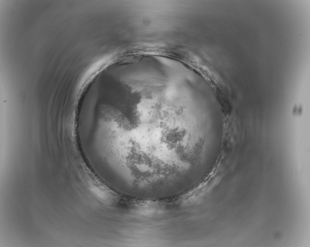 X0000090760293200708101753