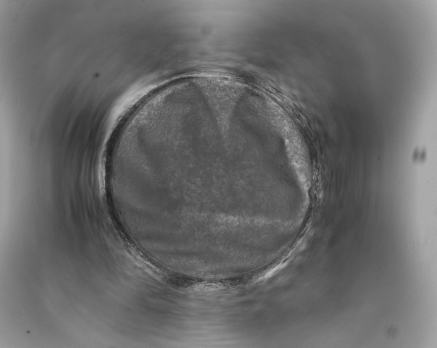 X0000090760294200708101753