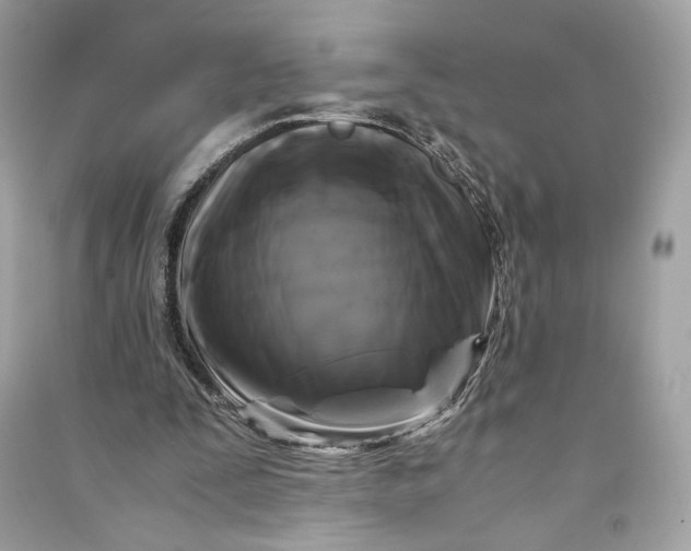 X0000090760295200708101753