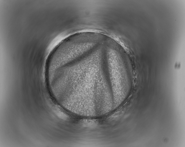 X0000090760296200708101753