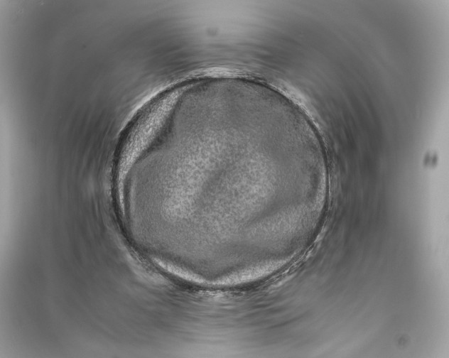 X0000090760297200708101753