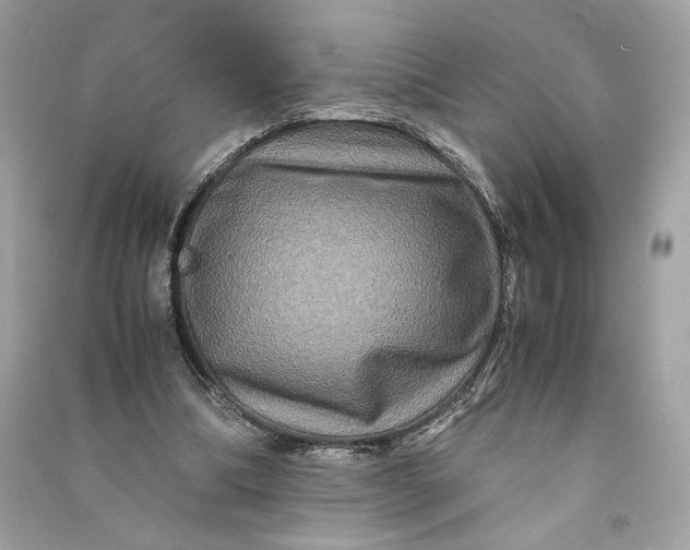 X0000090760298200708101753