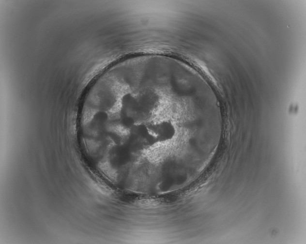 X0000090760299200708101753