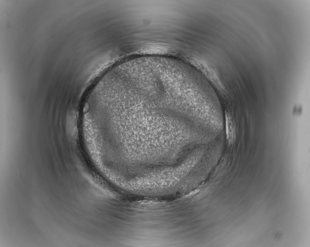 X0000090760300200708101753