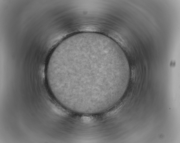 X0000090760302200708101753