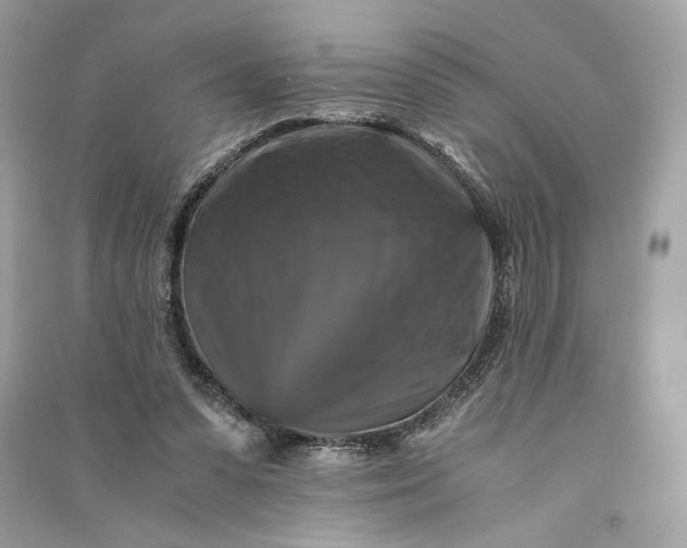 X0000090760303200708101753