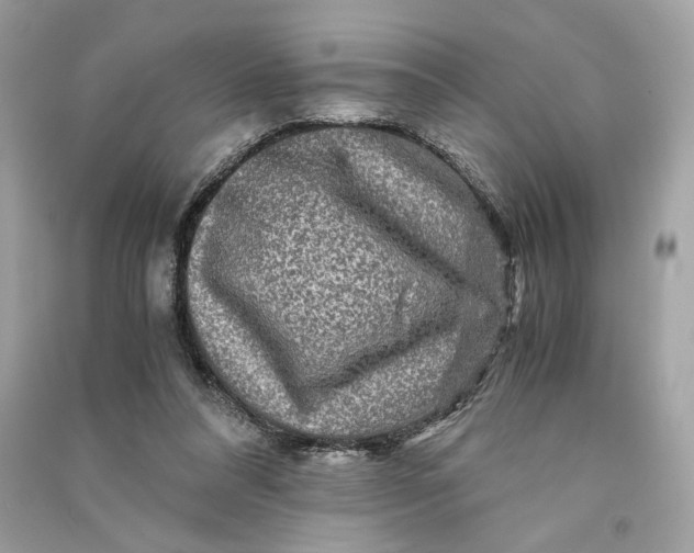 X0000090760304200708101753