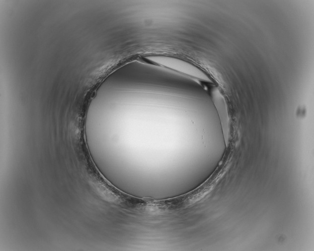 X0000090760305200708101753