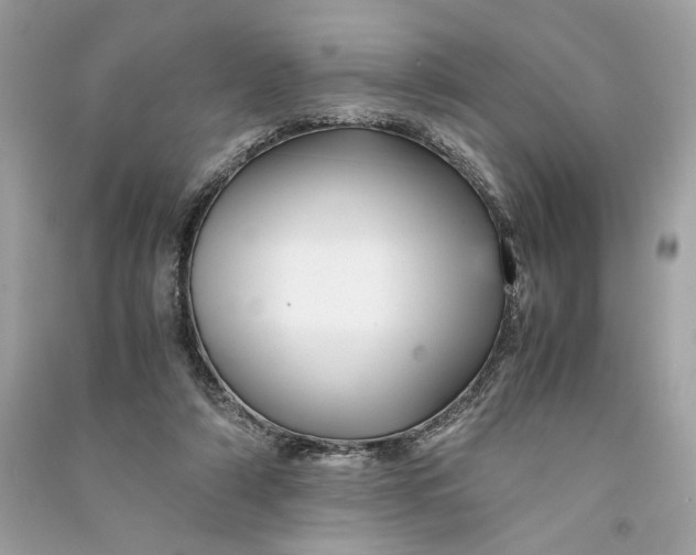 X0000090760306200708101753