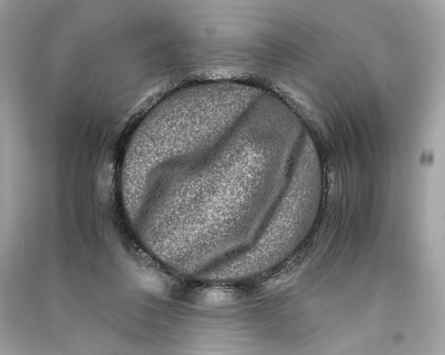 X0000090760308200708101753