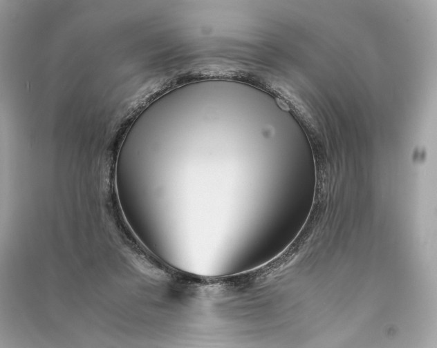 X0000090760309200708101753