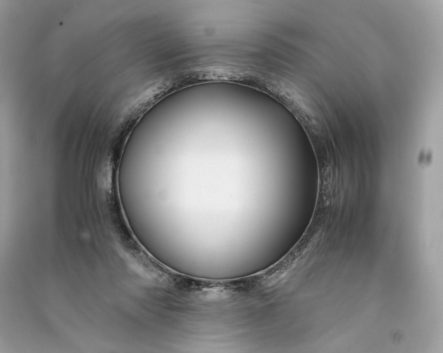 X0000090760310200708101753