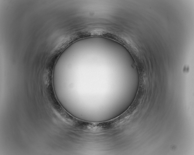 X0000090760311200708101753