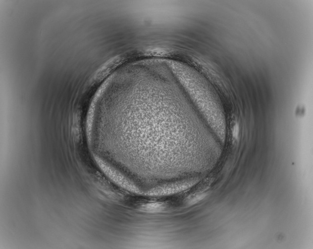 X0000090760312200708101753