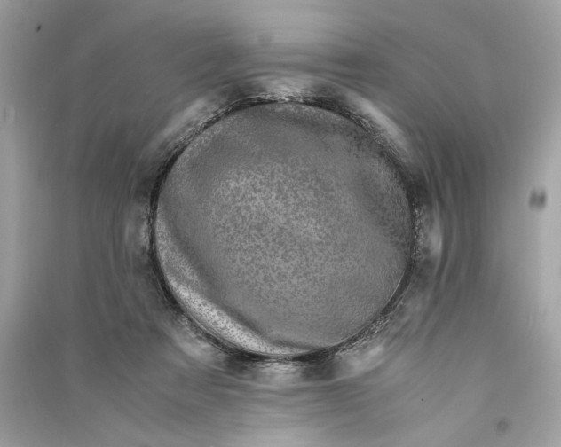 X0000090760313200708101753