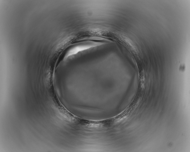 X0000090760314200708101753