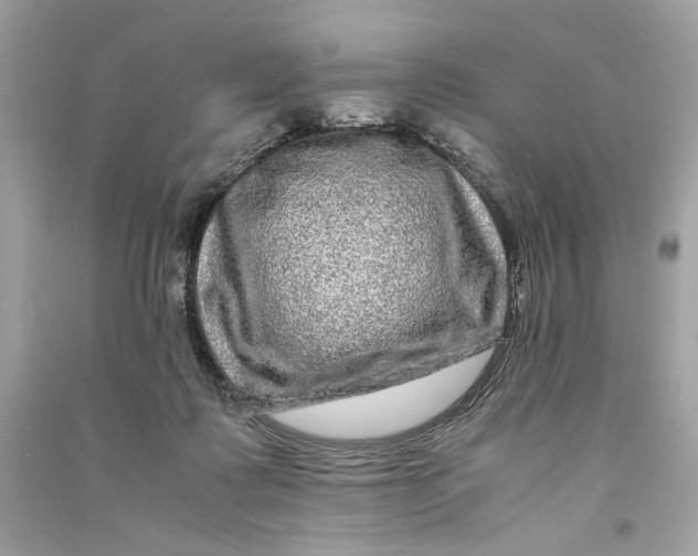 X0000090760315200708101753