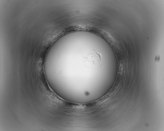 X0000090760318200708101753