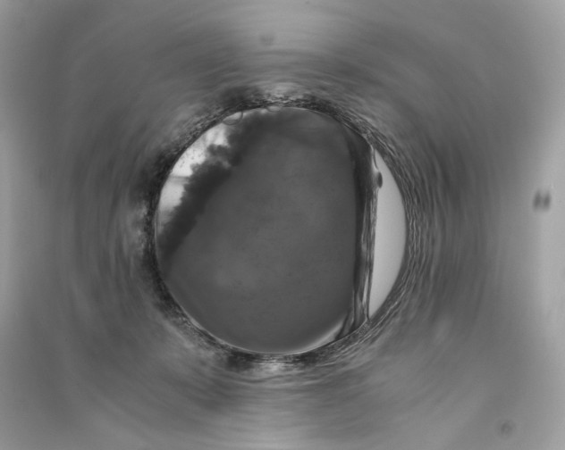 X0000090760319200708101753