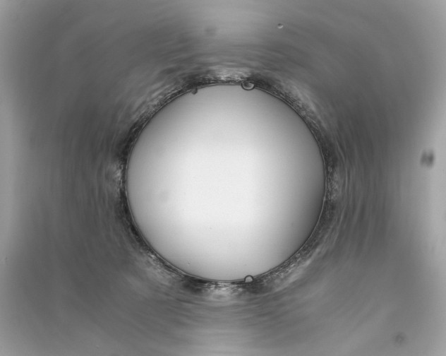 X0000090760321200708101753