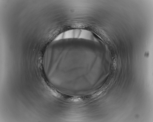 X0000090760322200708101753