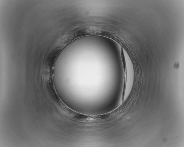 X0000090760323200708101753