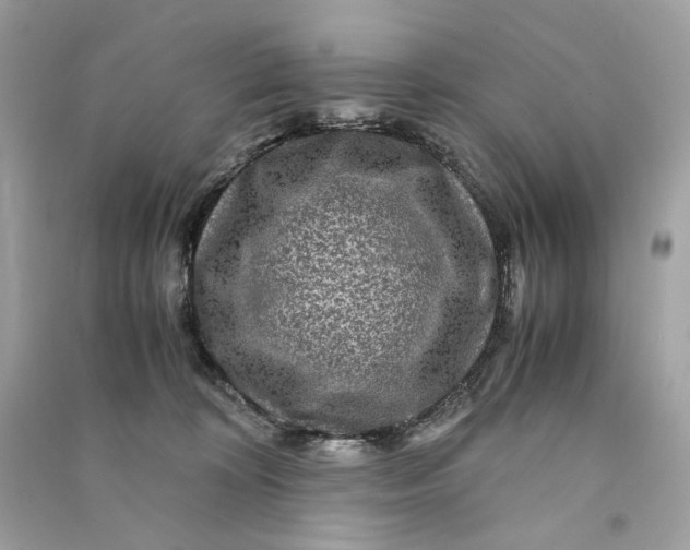 X0000090760324200708101753