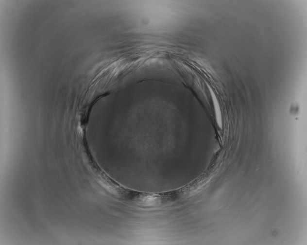 X0000090760325200708101753