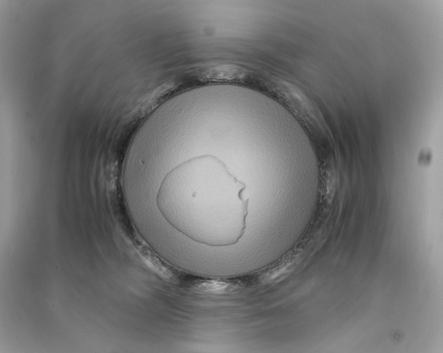 X0000090760326200708101753