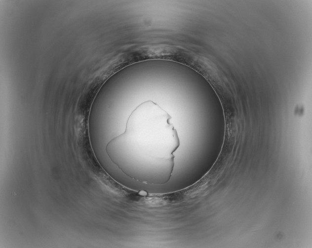 X0000090760327200708101753