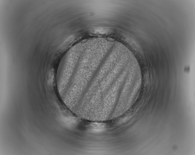 X0000090760328200708101753