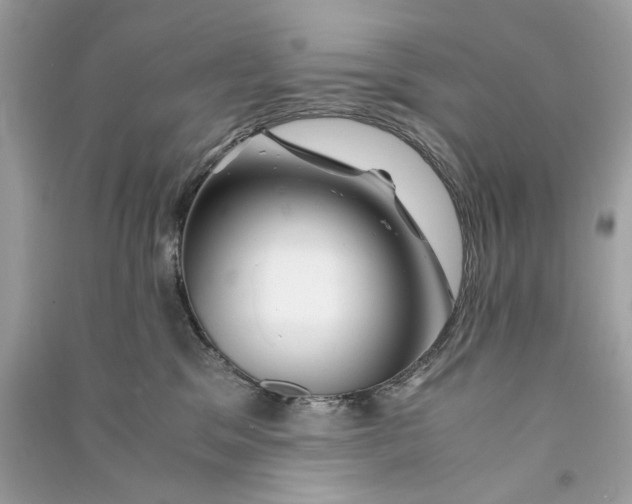 X0000090760329200708101753