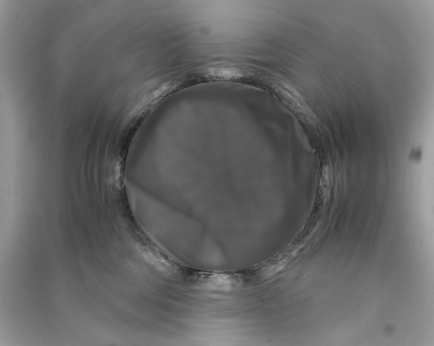 X0000090760330200708101753