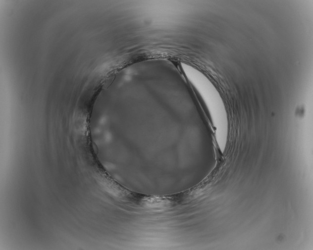 X0000090760331200708101753