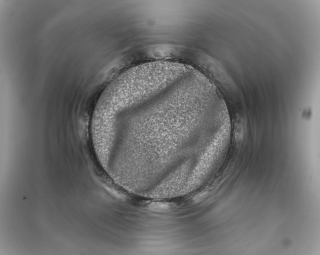 X0000090760332200708101753