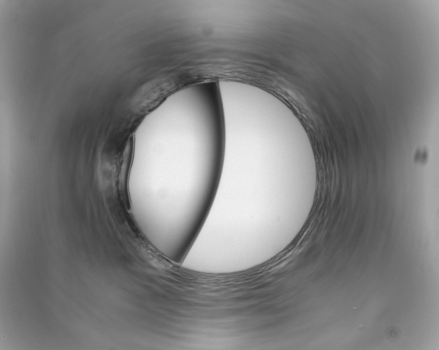 X0000090760333200708101753