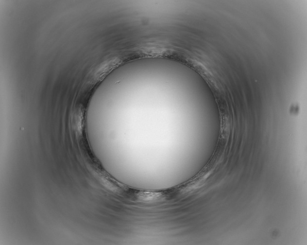 X0000090760334200708101753