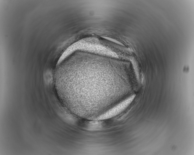 X0000090760335200708101753