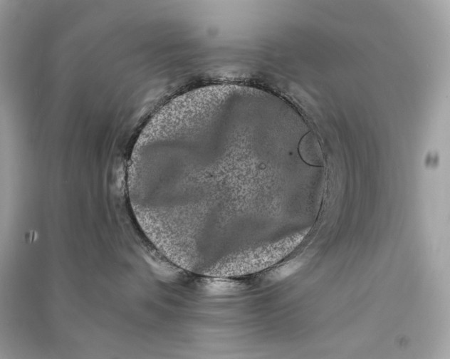 X0000090760336200708101753