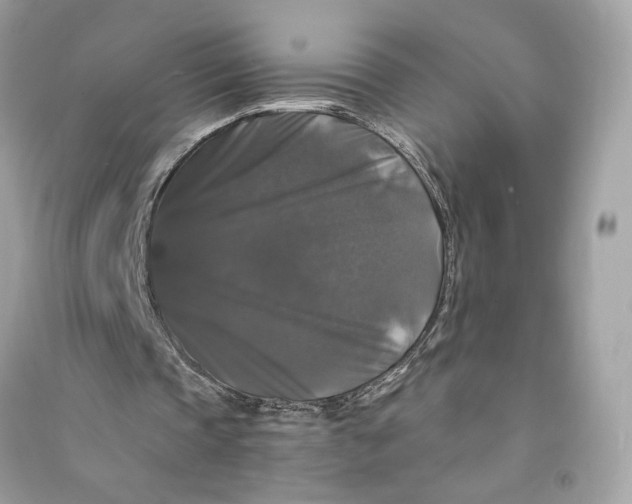 X0000090760337200708101752