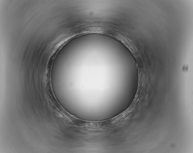 X0000090760338200708101752