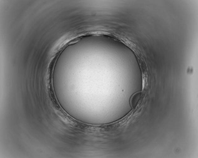 X0000090760339200708101752