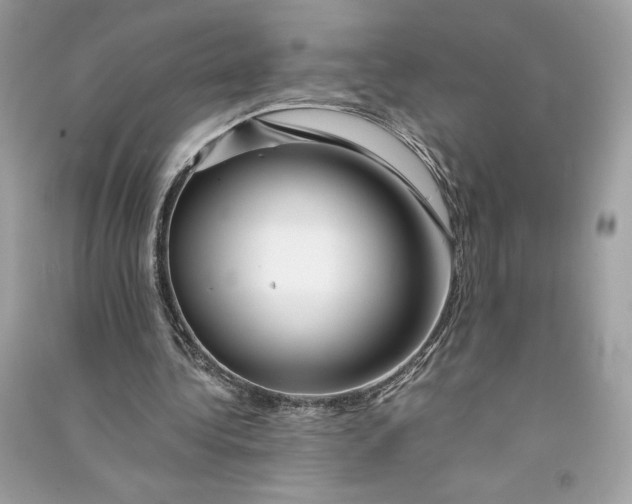 X0000090760340200708101752