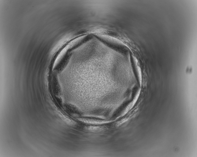 X0000090760341200708101752